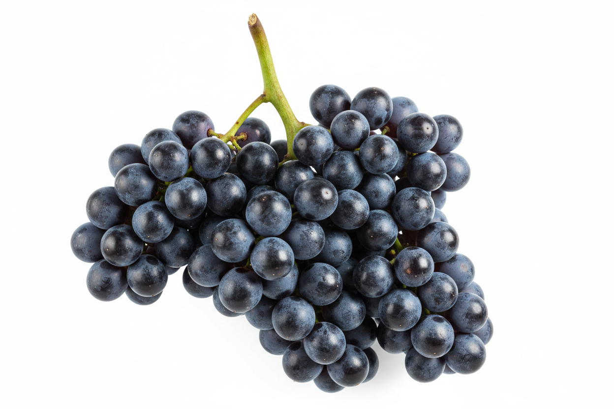 Dark Balsamic Vinegar